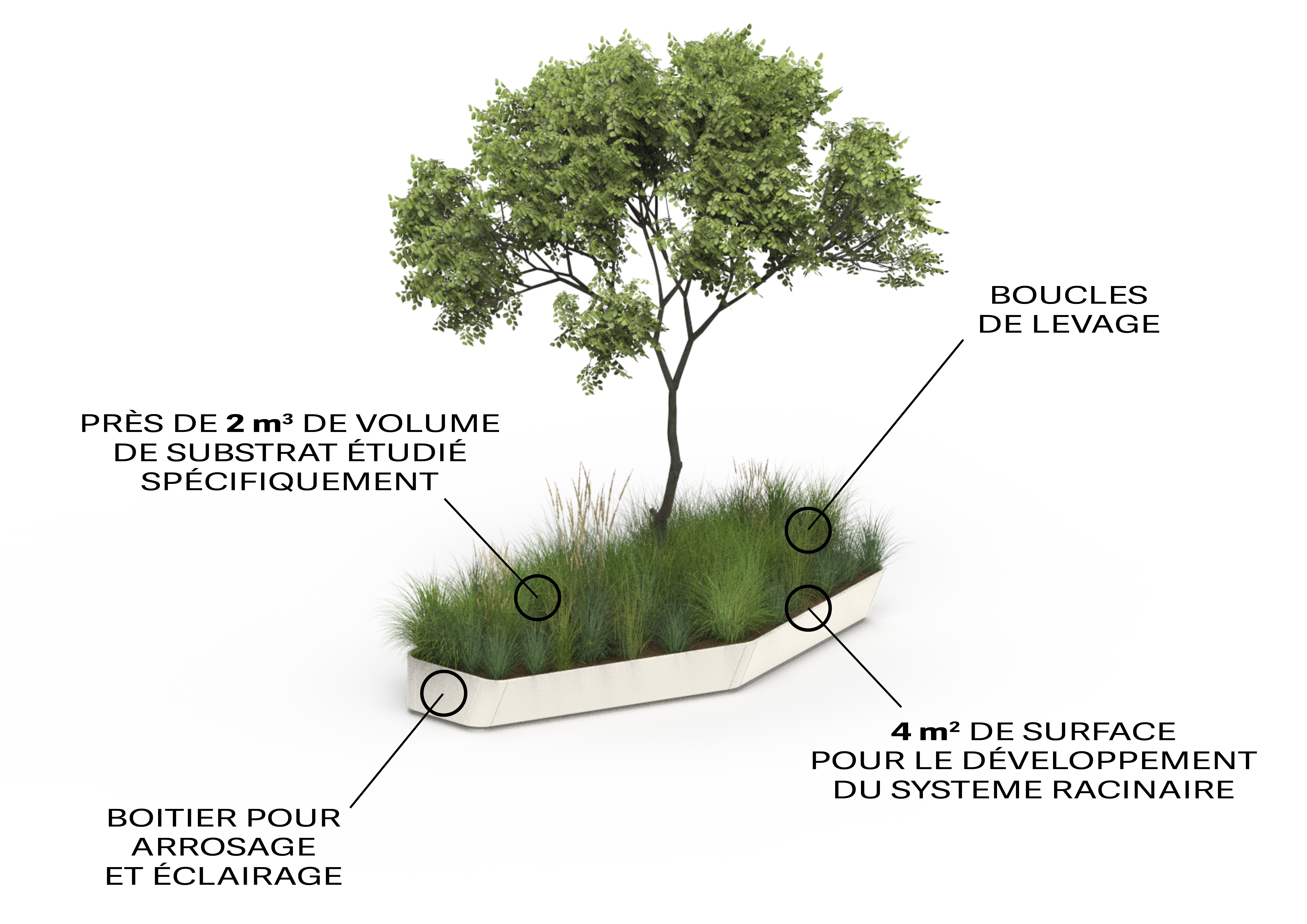 Modeve, le mobilier urbain innovation, bac à fleurs et jardinières personnalisable, modulaires.